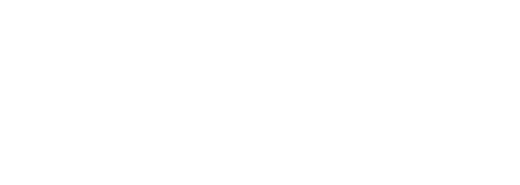 Fibre Boyz