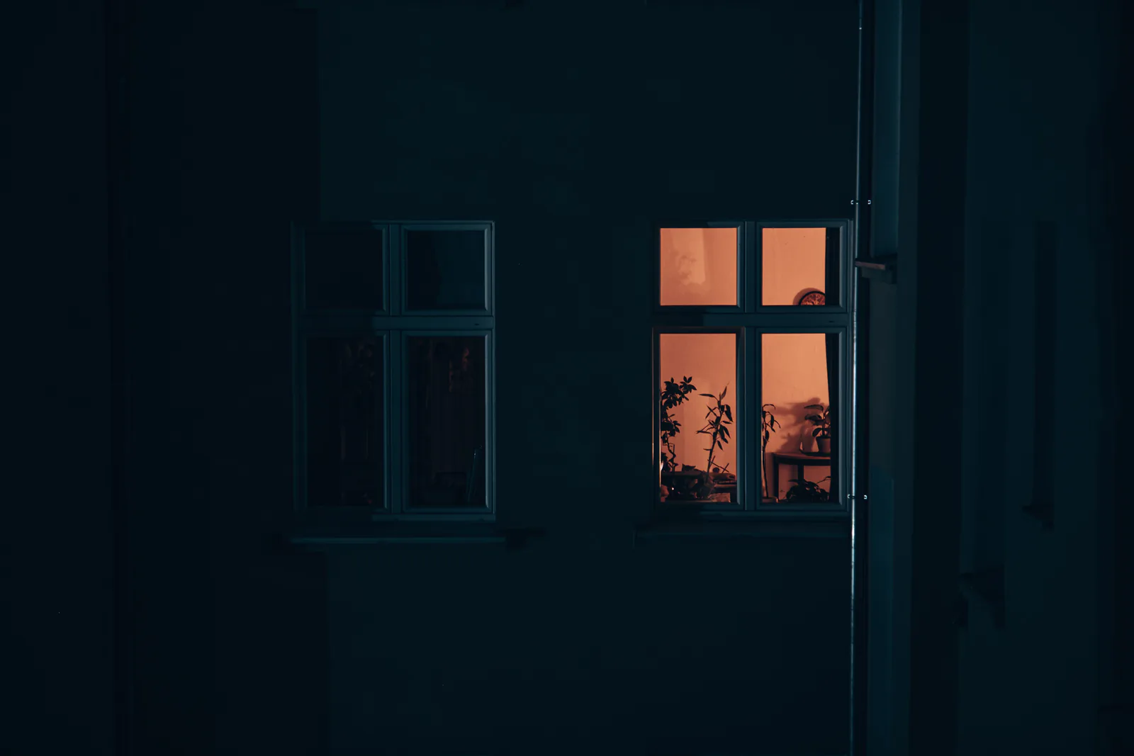 One warmly lit window with houseplants in an otherwise dark building at night